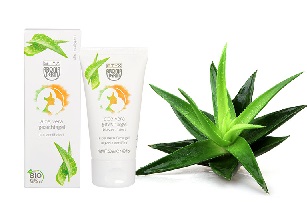 Aloe Vera - Die regenerative Kraft eines ganz besonderen Allesknners